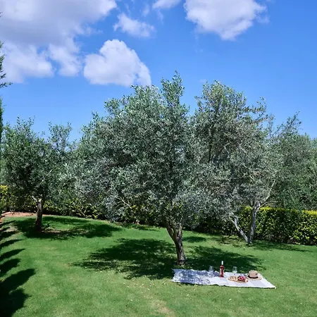 Kyamon Estate Luxury Villa